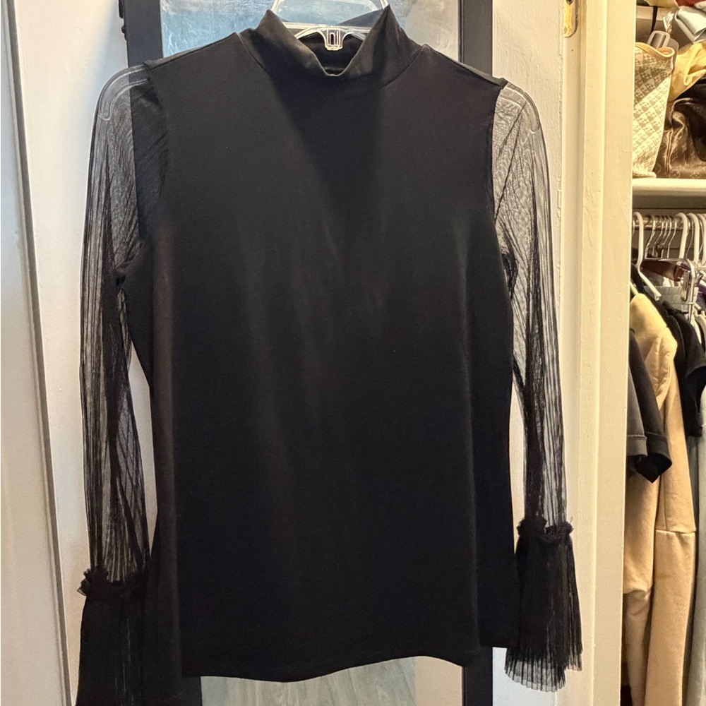 Black Mock Neck Top with Sheer Ruffle Sleeves